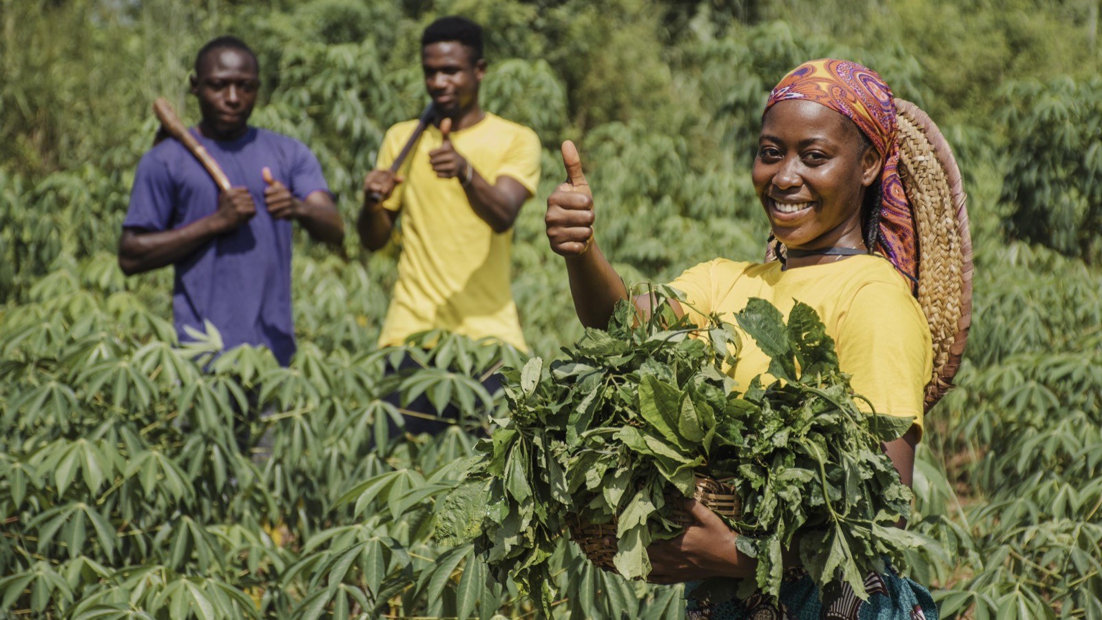 Farmers sorting freshly harvested produce
