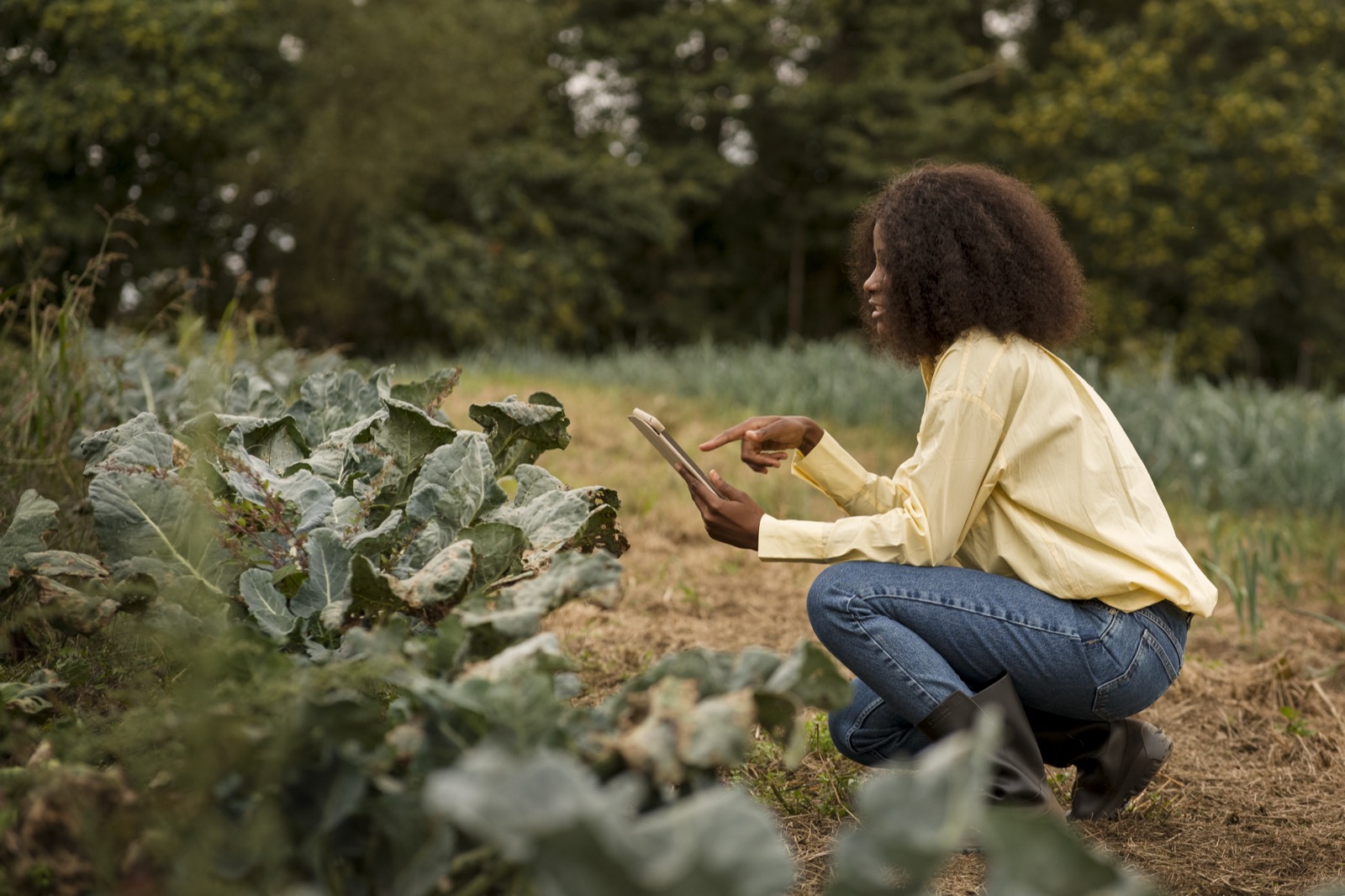 A farmer holding freshly harvested vegetables